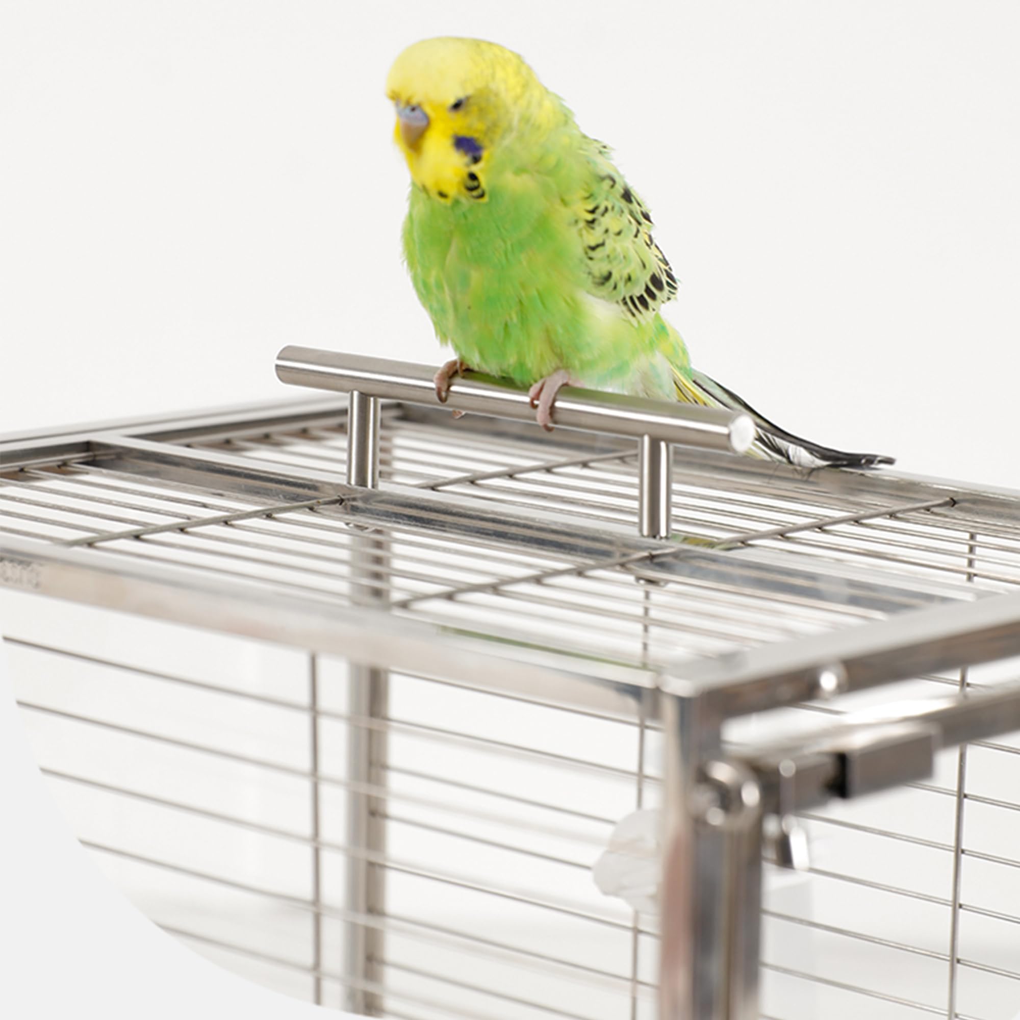 Amazon | 304ステンレス鋼鳥かご インコ 両面に透明度の高いアクリル 