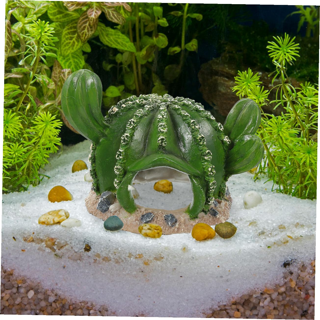 BESPORTBLE Adornos De Jardinería para Peceras 3 Piezas Mesa De con Patas Escondite De Reptiles Decoración para Pecera De Serpientes Pecera De Reptiles Dragón Barbudo Escondite