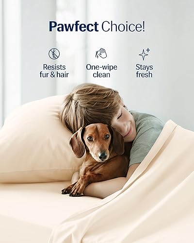 Miniatura 178 de REST® Evercool®+ - Juego de sábanas de iniciación, color marfil Cali King, sábanas transpirables para personas que duermen con calor y sudores