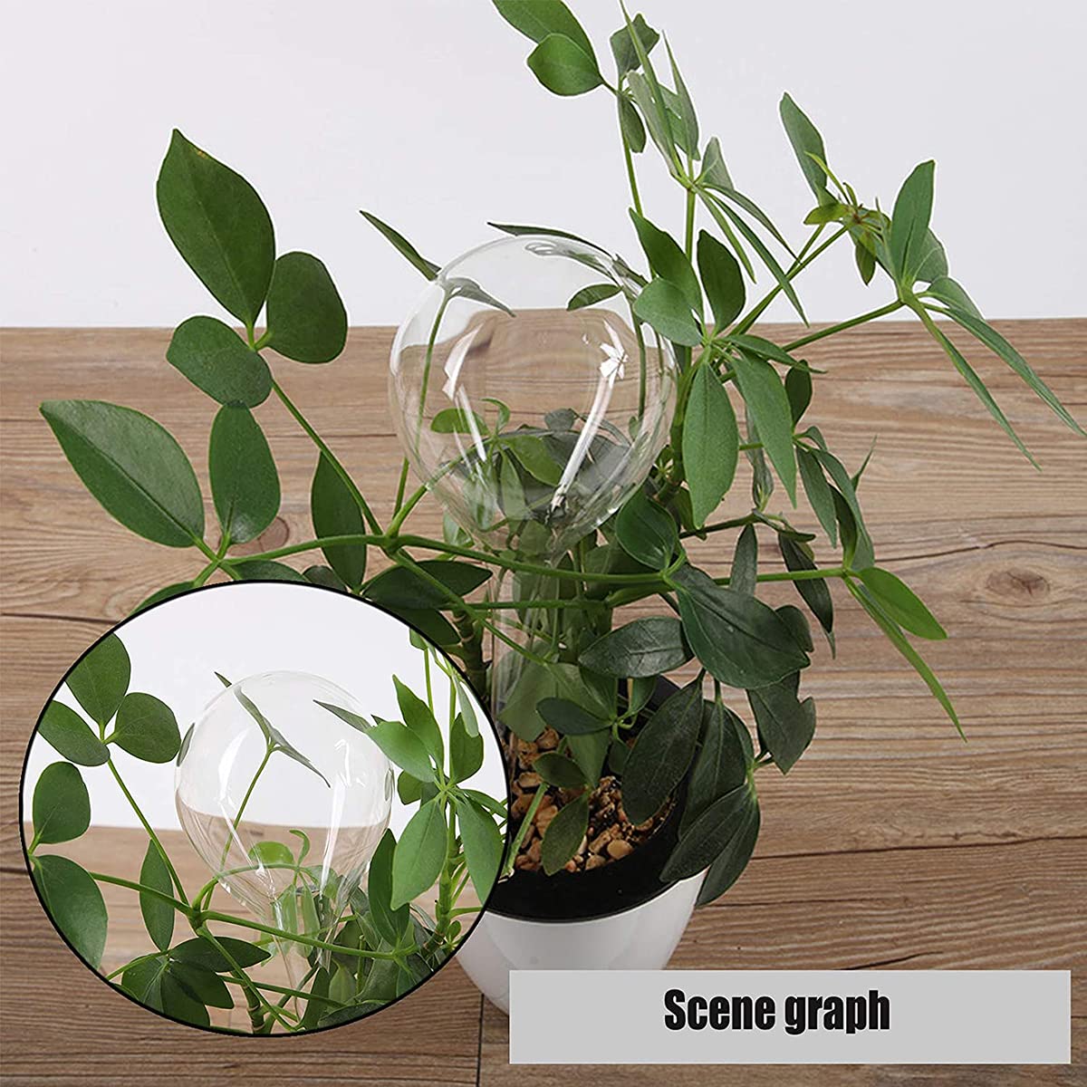 Guidre 8 Pièces Boules d'Irrigation pour Plantes,Goutte a Goutte,Arrosage Plante Vacances,Irrigation Goutte à Goutte Kit,Goutte-Gouttes Automatiques pour Plantes en Pot D'intérieur