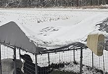 Review Image by Mrs. Treadwell Mrs. Treadwell