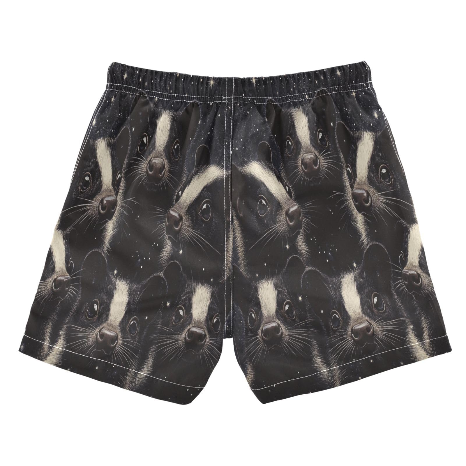 Jucciaco Boys Beach Board Shorts Skunk Pet Galaxy Black Quick Dry Swim Trunk Swimwear for Kids