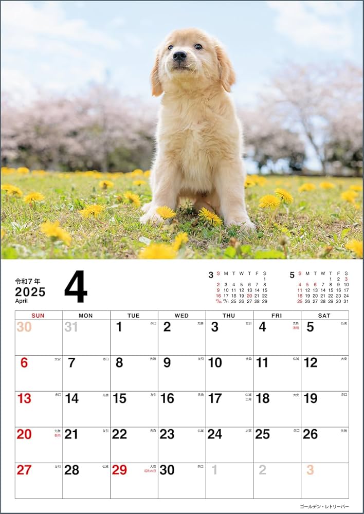 Amazon.co.jp: こいぬのきもちカレンダー2025（月めくり・壁掛け