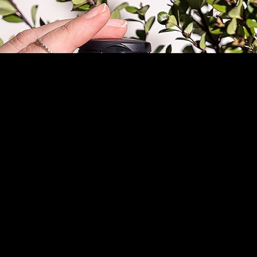 Miniatura 2 de Nature's Sunshine GABA Plus, 60 cápsulas, Kosher | Salud cerebral y apoyo del sistema nervioso para ayudar a encontrar una sensación de relajación y