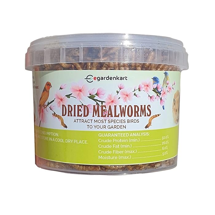 Buy Dried Mealworms, Meal worms HighProtein Treats for Birds, Chickens