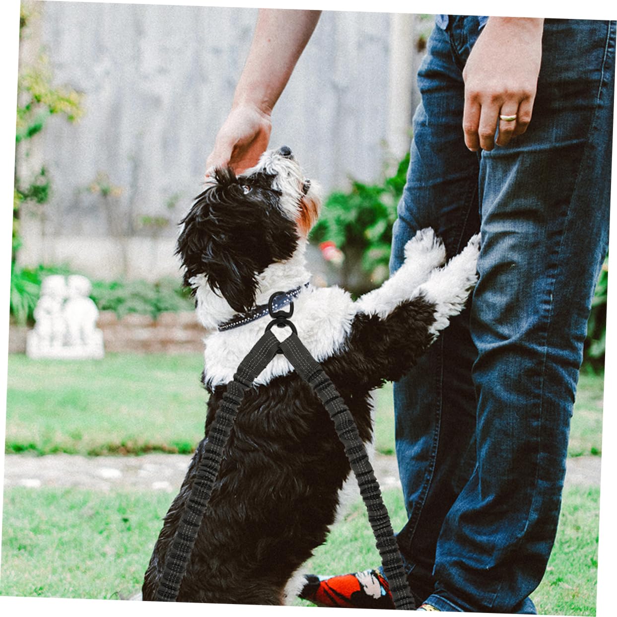 Luxshiny 3 pièces Laisse de Chien Réfléchissante avec Double Tête Laisse pour Promenade de Petits Animaux Couleur Gris Foncé et Pratique pour Contrôler Deux Chiens Lors des Sorties