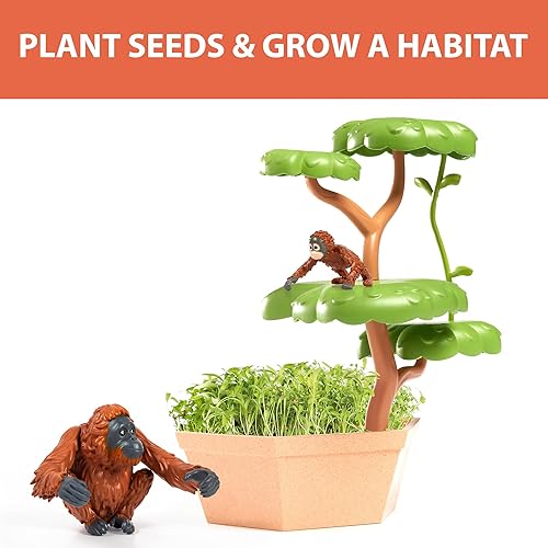 Miniatura 5 de Wild Scenes Orangutans' Treetop Adventure - Kit de cultivo y juego respetuoso con el medio ambiente, juguete de conservación de vida silvestre,