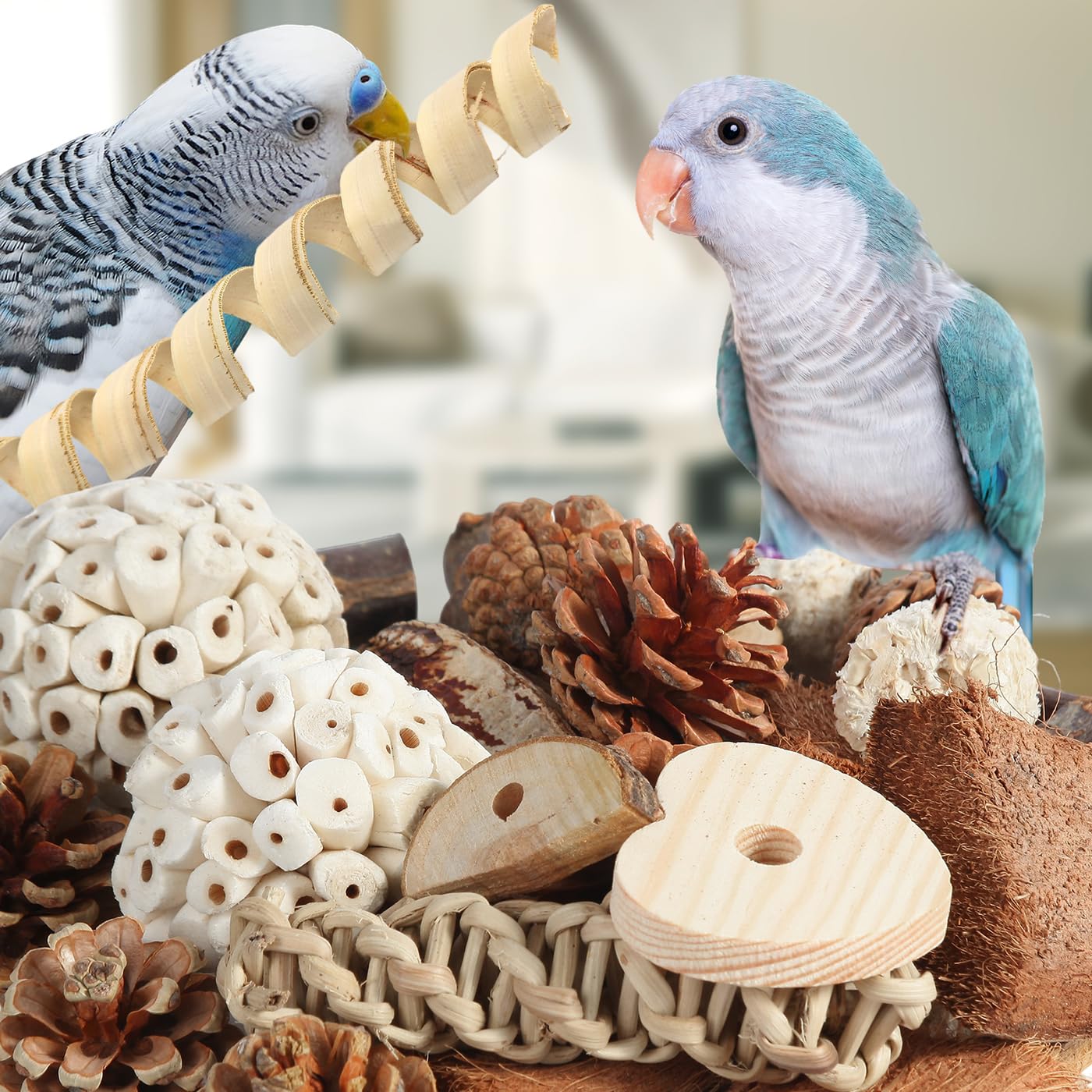 Kyouki Vogelspielzeug, Papageienspielzeug, natürliches Vogelfutterkasten, Fußspielzeug für Sittiche, Nymphensittiche, Sittiche, Liebesvögel und andere kleine bis mittelgroße Vögel (groß)