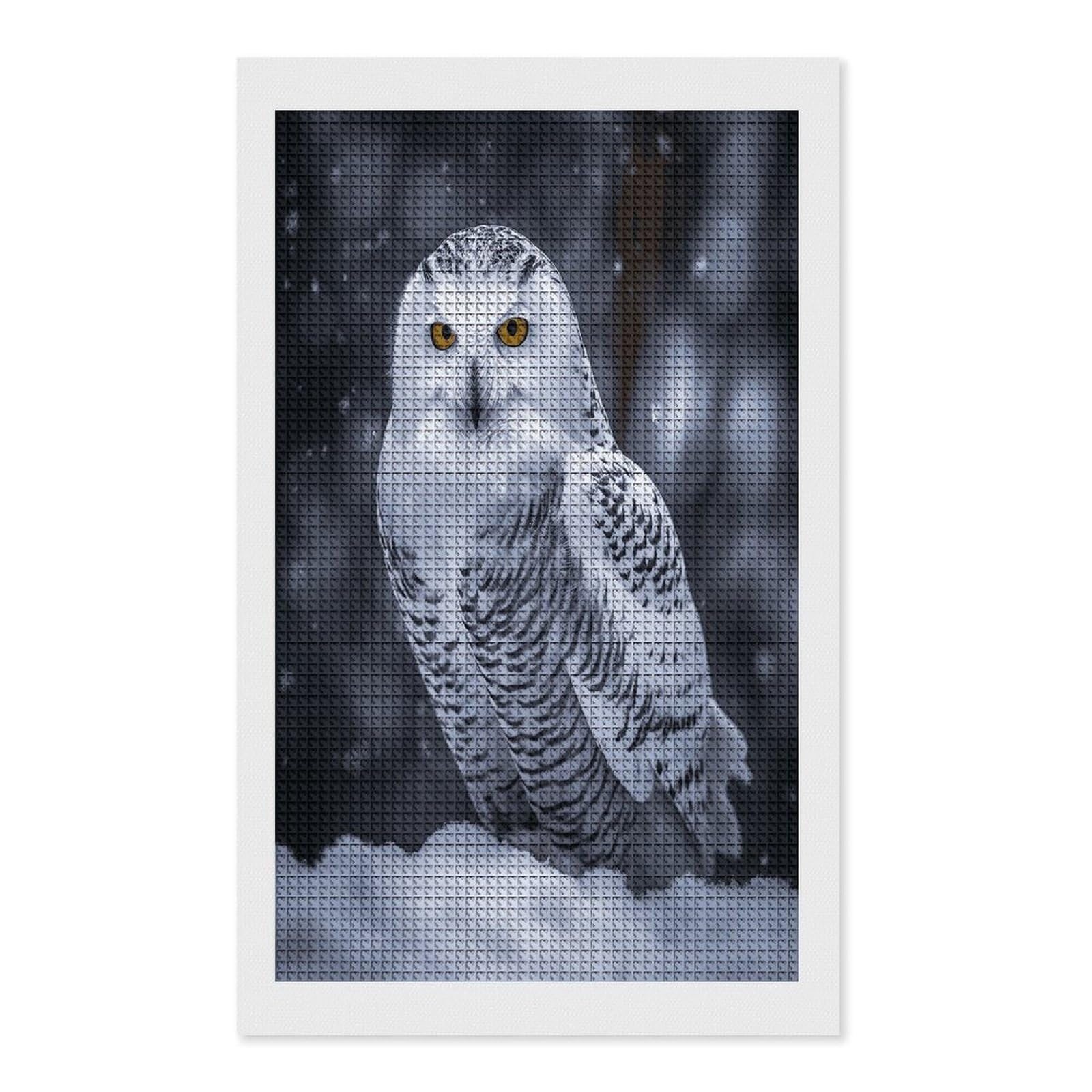 FodPand Arctic Owl Diamond Painting Kit for Beginner Fun 5D DIY Crafts for Adults Diamond Art Kits Square Diamond Art Canvas Painting Gem Art Crafts for Home Wall Decor 12"x20"