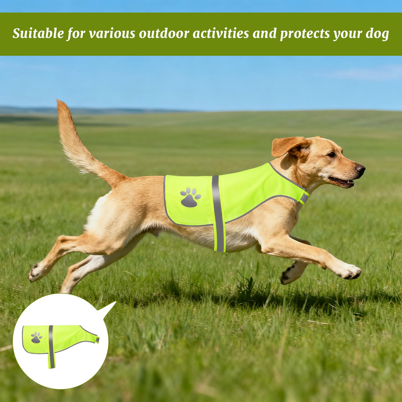 Gilet Jaune Chien, Gilet Fluo pour Chien, Gil et Fluo Ch ien, Gi Let Reflechissant C Hien, Gil et Chi en Fluo pour Promenades Nocturnes et Activités Extérieures Petit Grands Chi ENS