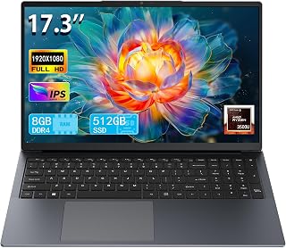 17 Inch Ryzen 5 Laptop, 8GB RAM, 512GB SSD, Windows 11 Pro, IPS Display