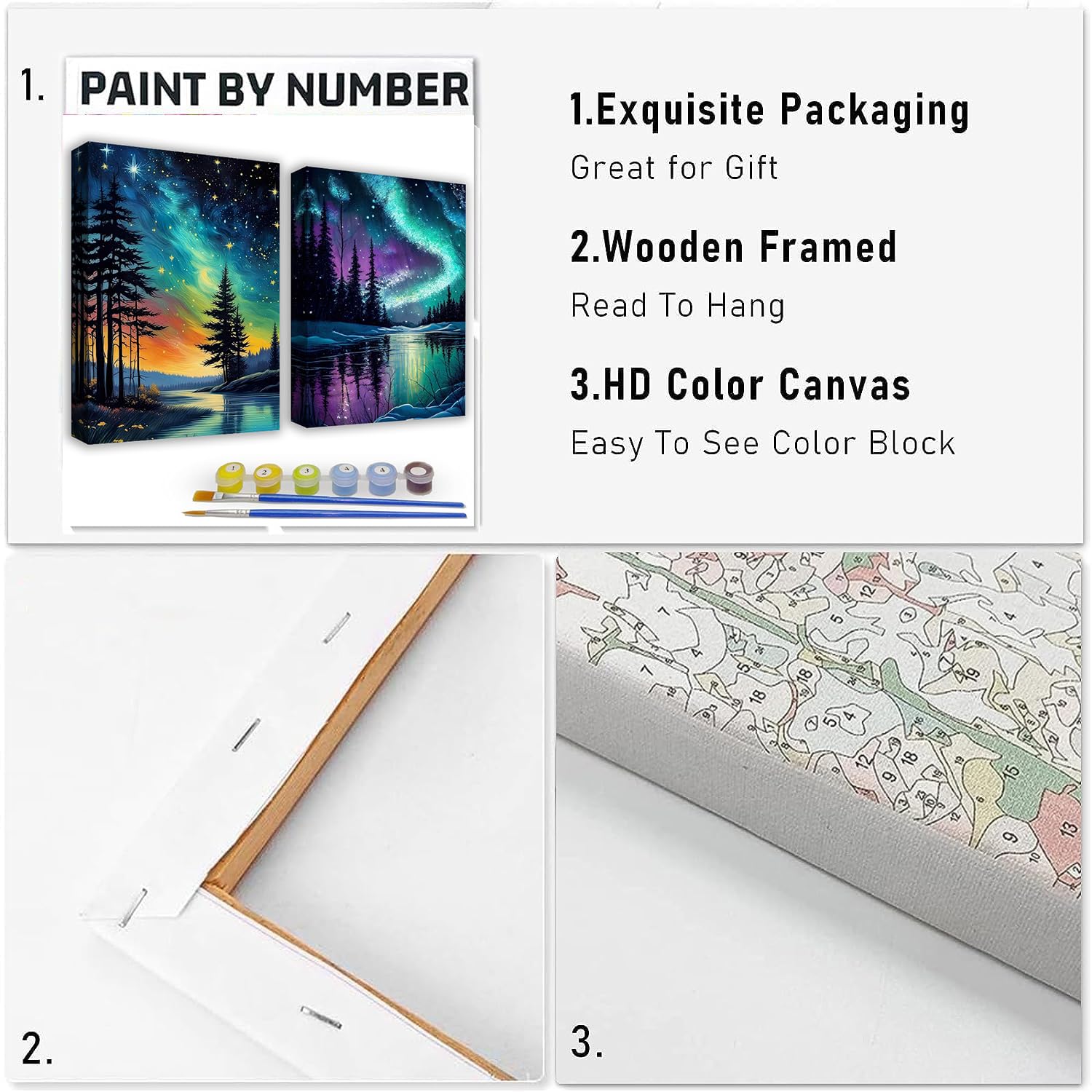 Hi-STANDARD　TM paint CANVAS paramount-pro-canvas-11-16-