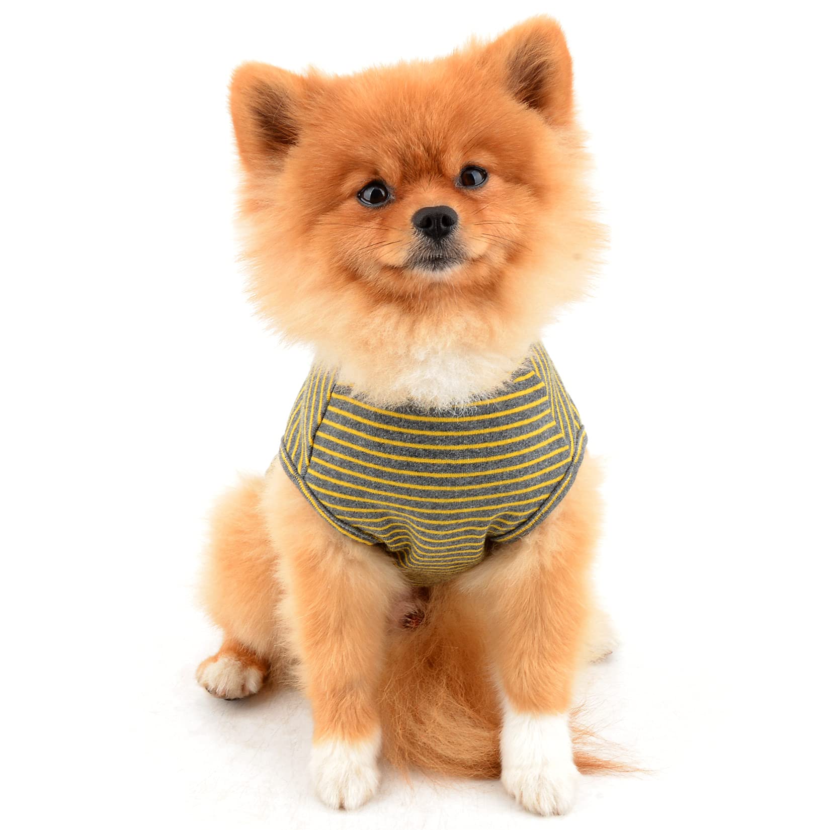 4er-Set ärmellose Hunde-Shirts Für Halloween – Für Kleine & Mittlere Hunde, Lustige Motive