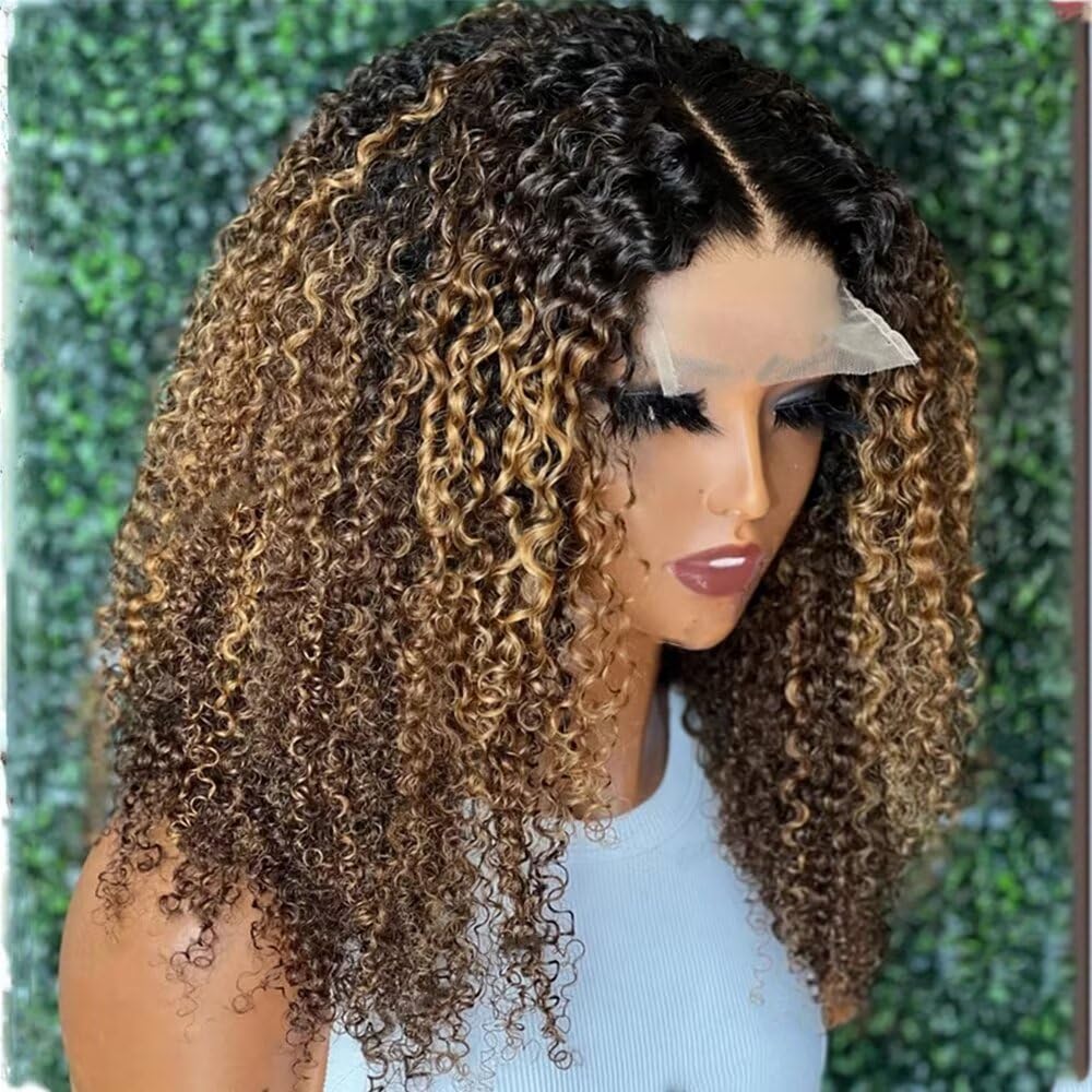 非売品 hotpepperbeauty haircollection2022 Amazon.com : 180% Density Kinky Curly Highlight Ombre Honey