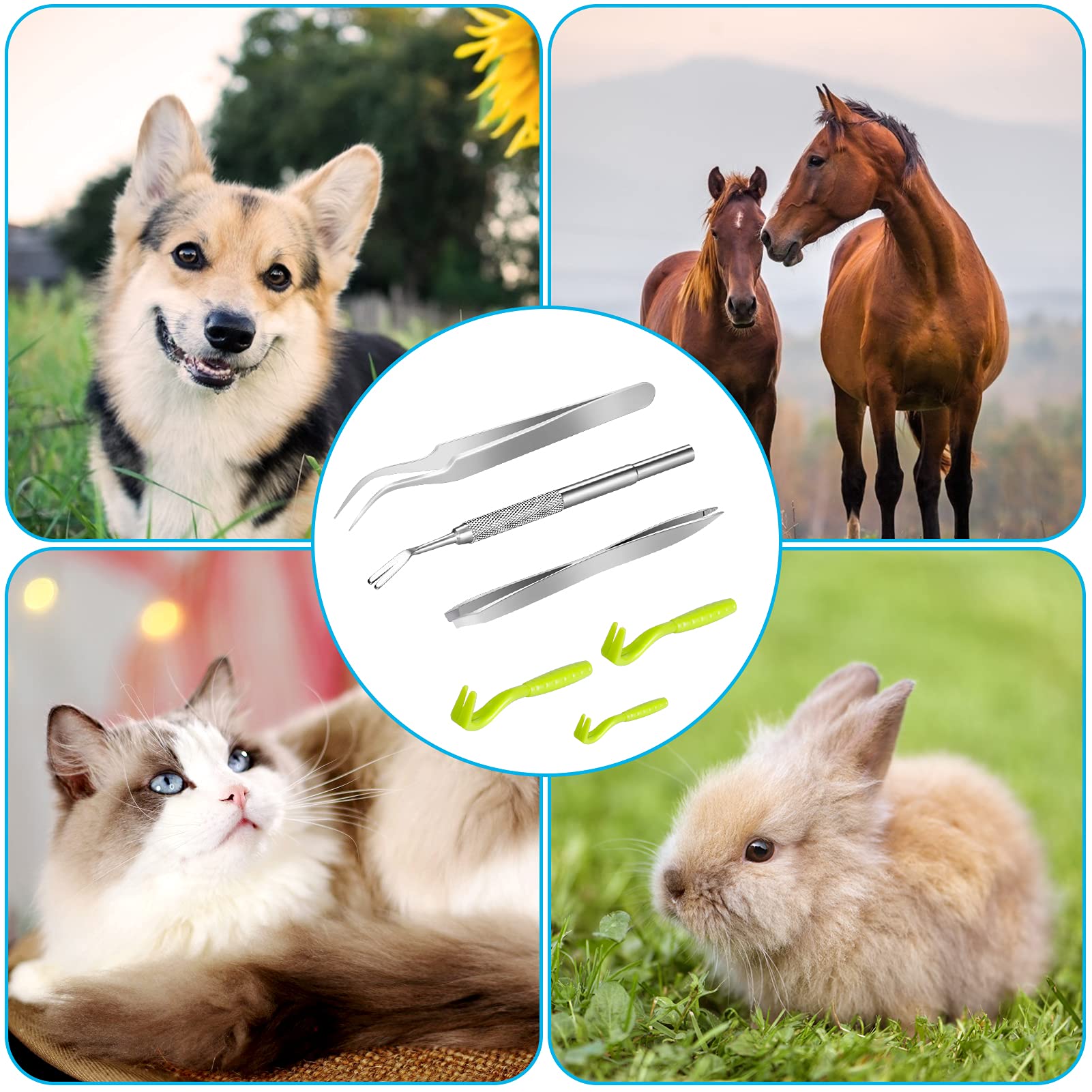 Kiiwah 6 pcs Tire Tique, Pince à Tique de en Acier Inoxydable, Crochet Tiques en Plastique avec Boîte de Rangement pour Chiens et Chats