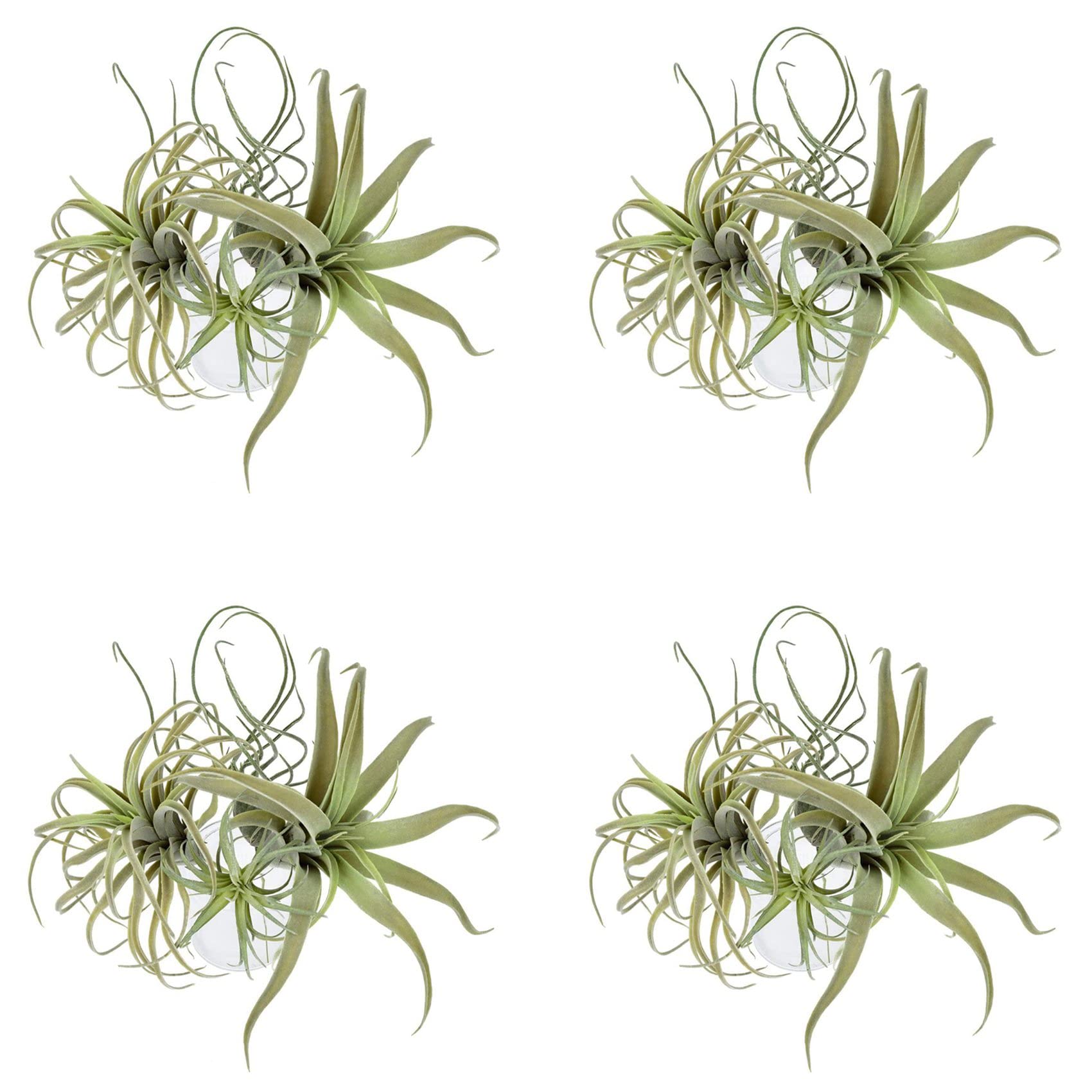 Hndhbfgrt 16Pack Artificial Pineapple Grass Air Plants Fake Flowers Faux Flocking Tillandsia Bromeliads Home Garden Decor