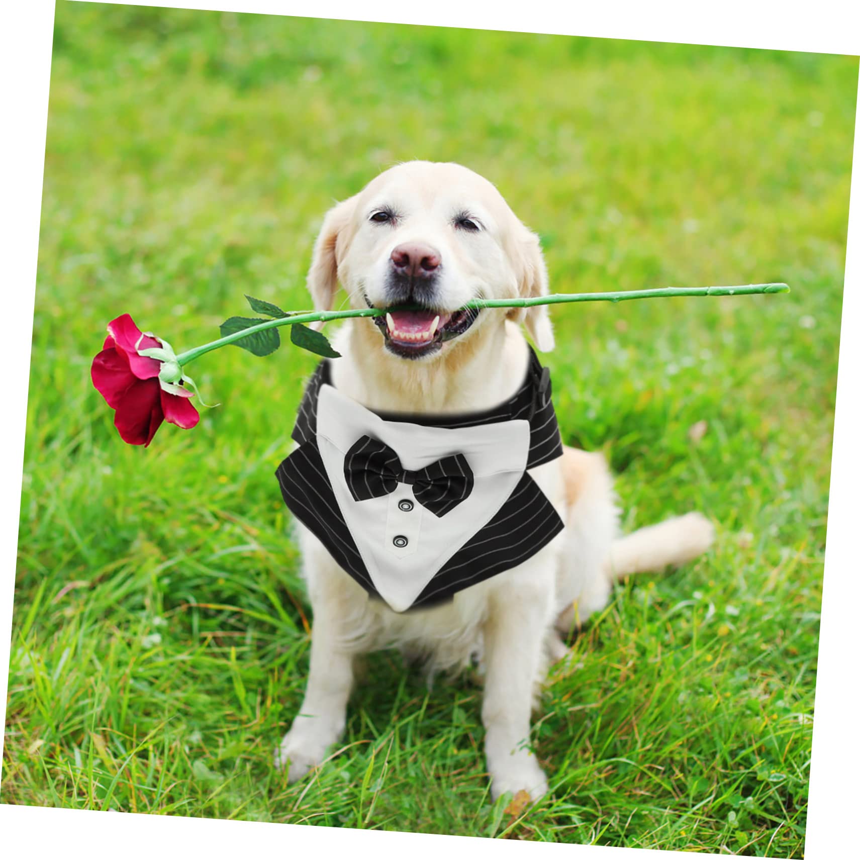 SUPVOX 3juegos Disfraz De Perro Esmoquin y Bandana Traje Elegante para Bodas y Fiestas Accesorio Decorativo para Mascotas