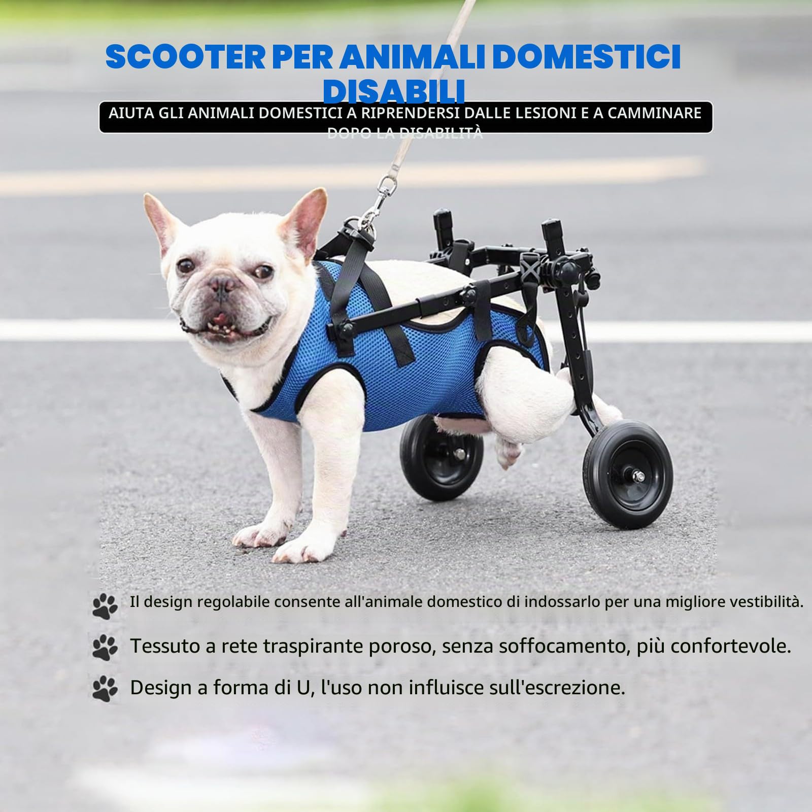 Carrozzina Per Cani Per Zampe Posteriori, Ausili Per La Mobilità Per Animali Domestici Disabili, Tutore Per Zampe Di Cani E Supporto Per Fianchi(Medium)