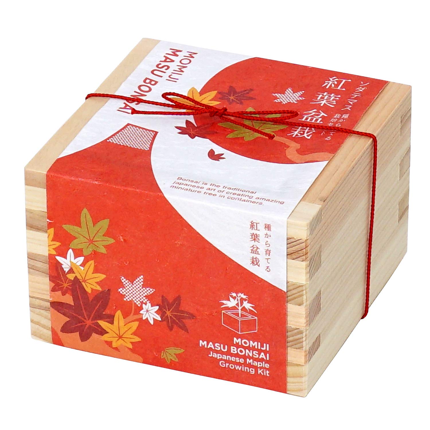 Amazon.co.jp: Bonsai Cultivation Set, Sodatemas, Momiji : DIY