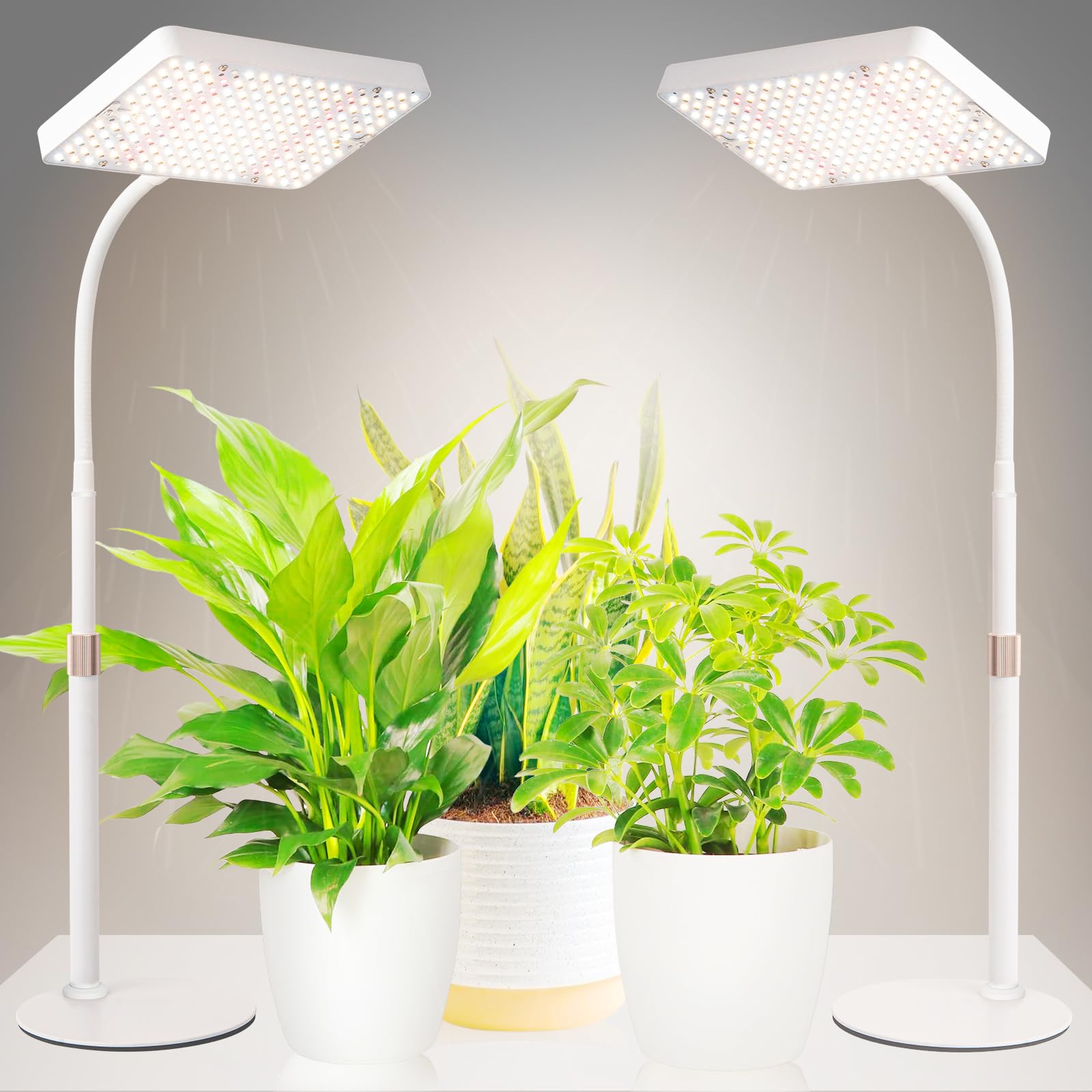 Amazon.com : JINHONGTO 2Pack Desk Grow Light LED Full Spectrum UV IR, Veg  Seed Starting Seedlings Bonsai Houseplant Plant Light, Table Top Grow Lights  for Indoor Plants, 16"-24" Height Adjustable : Patio,