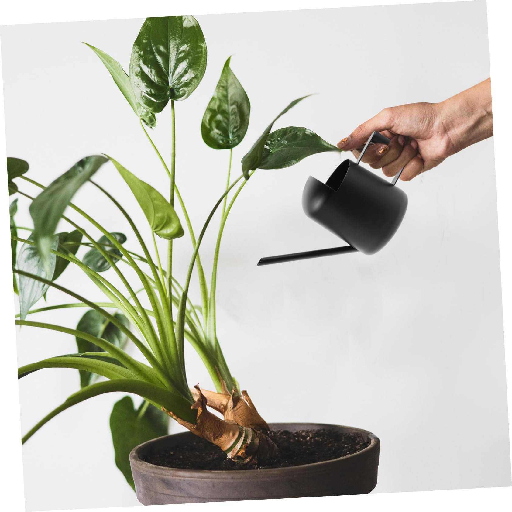 YARNOW 4 Pz annaffiatoio per interni colmar innaffiatoio Annaffiatoio regolabile piante d'appartamento casa annaffiatoi da giardino bollitori per annaffiare Acciaio inossidabile Black