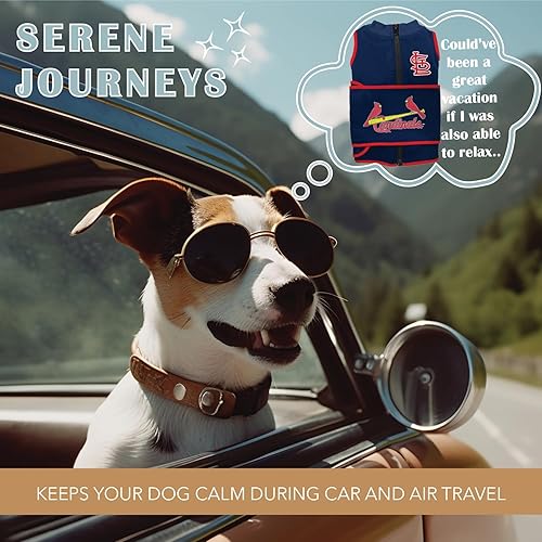 Miniatura 4 de MLB ST Louis Cardinals - Chaleco calmante calmante para perros y gatos con ansiedad, miedos, fuegos artificiales, ruidos fuertes, oscuro, mantiene a