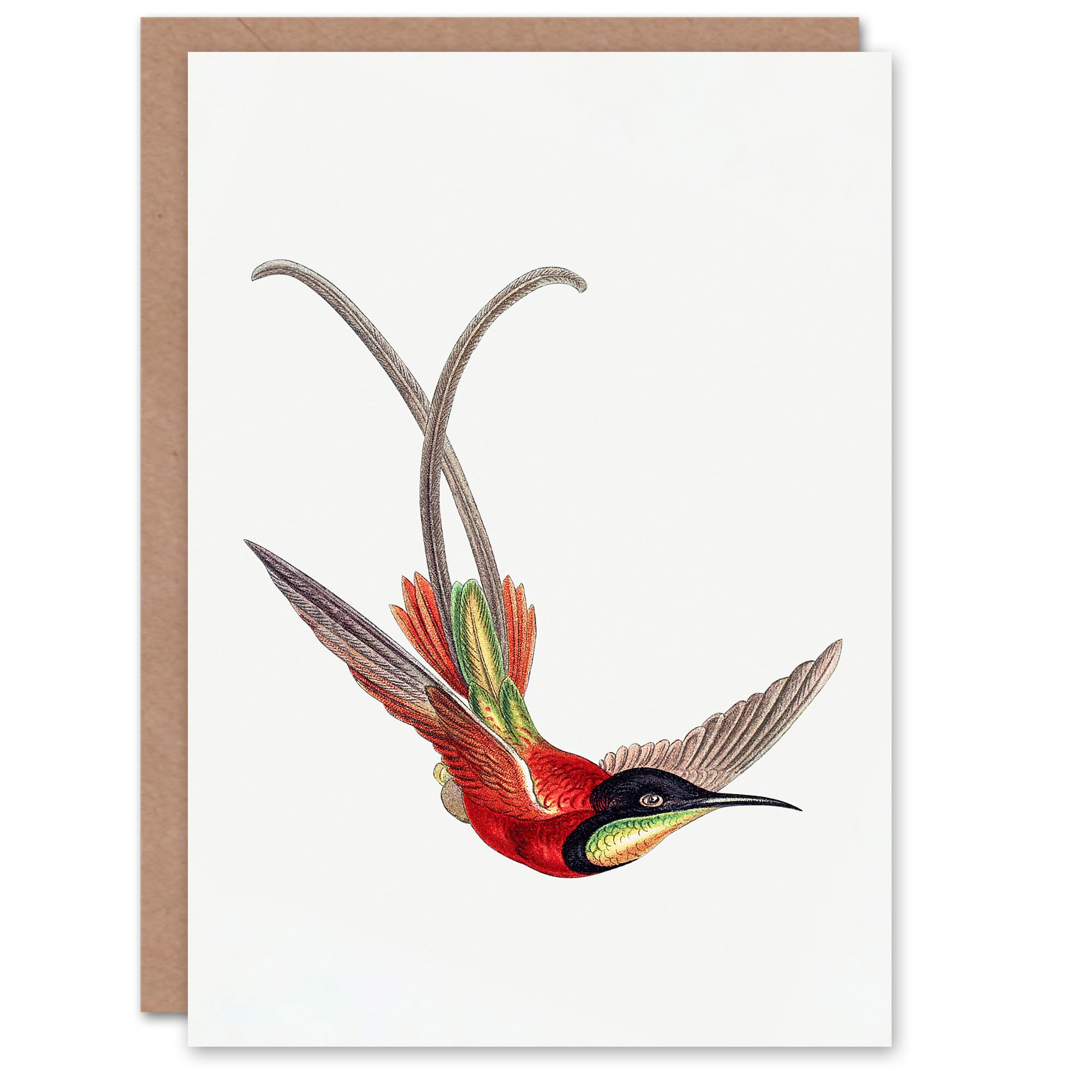Artery8 Ernst Haeckel Art Card Crimson Topaz Hummingbird