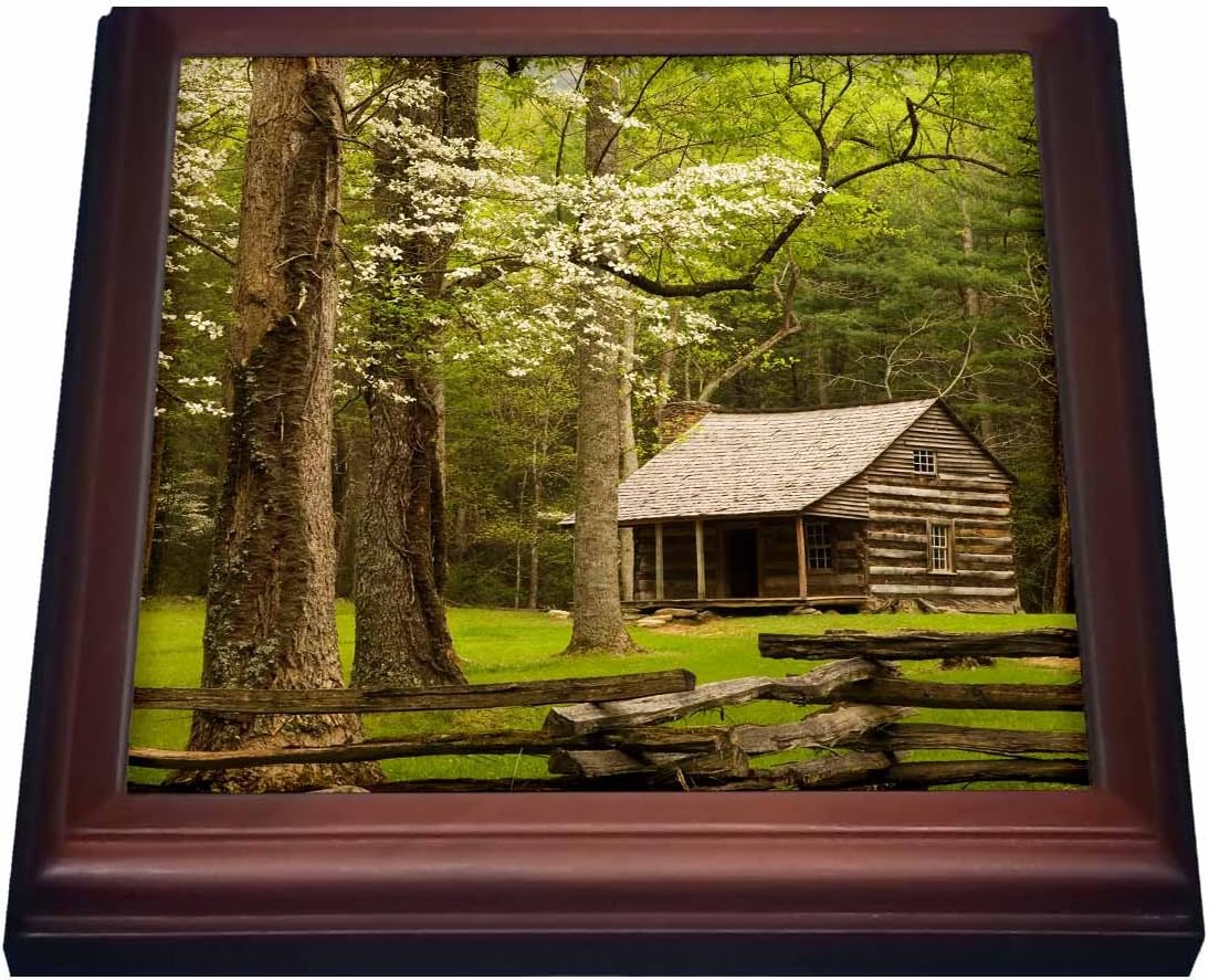 3dRose Tennessee, Great Smoky Mountain NP, Cades Cove cabin US11 JWL0271 Joanne Wells Trivet with Ceramic Tile, 8" x 8", Brown