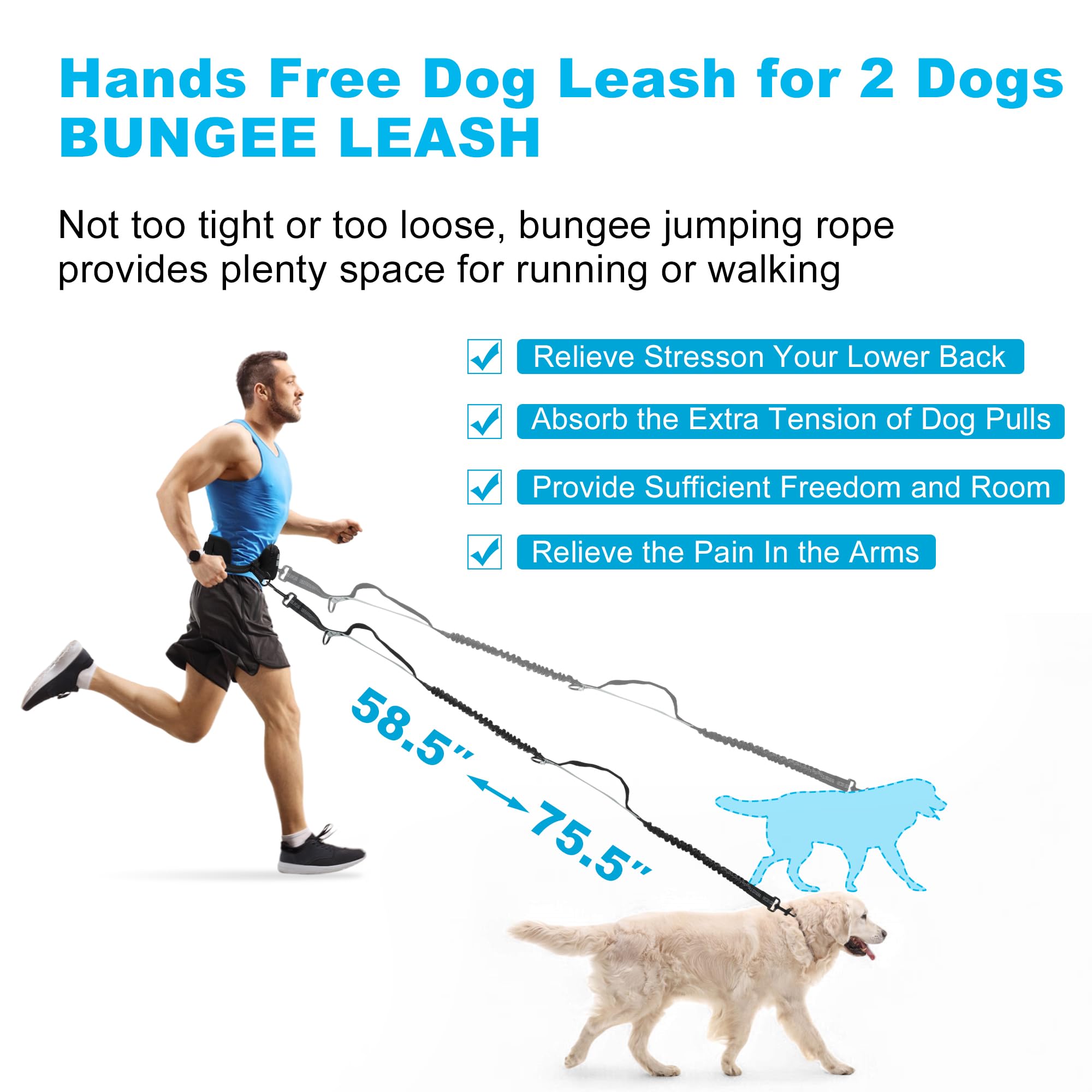 RENEWREVITAL Hands Free Dog Leash, Retractable Bungee with Double Padded Handles, Waist Leash for Dog Walkings, Running with Pouch for Dog, Black Silver Gray