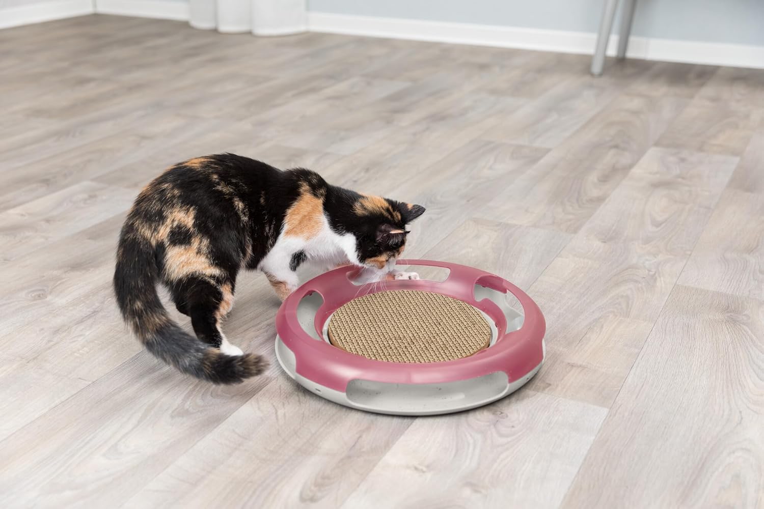 TRIXIE Race & Scratch, Cat Circle Track, Cardboard Scratching Pad, Interactive Cat Toy, Cat and Mouse Game