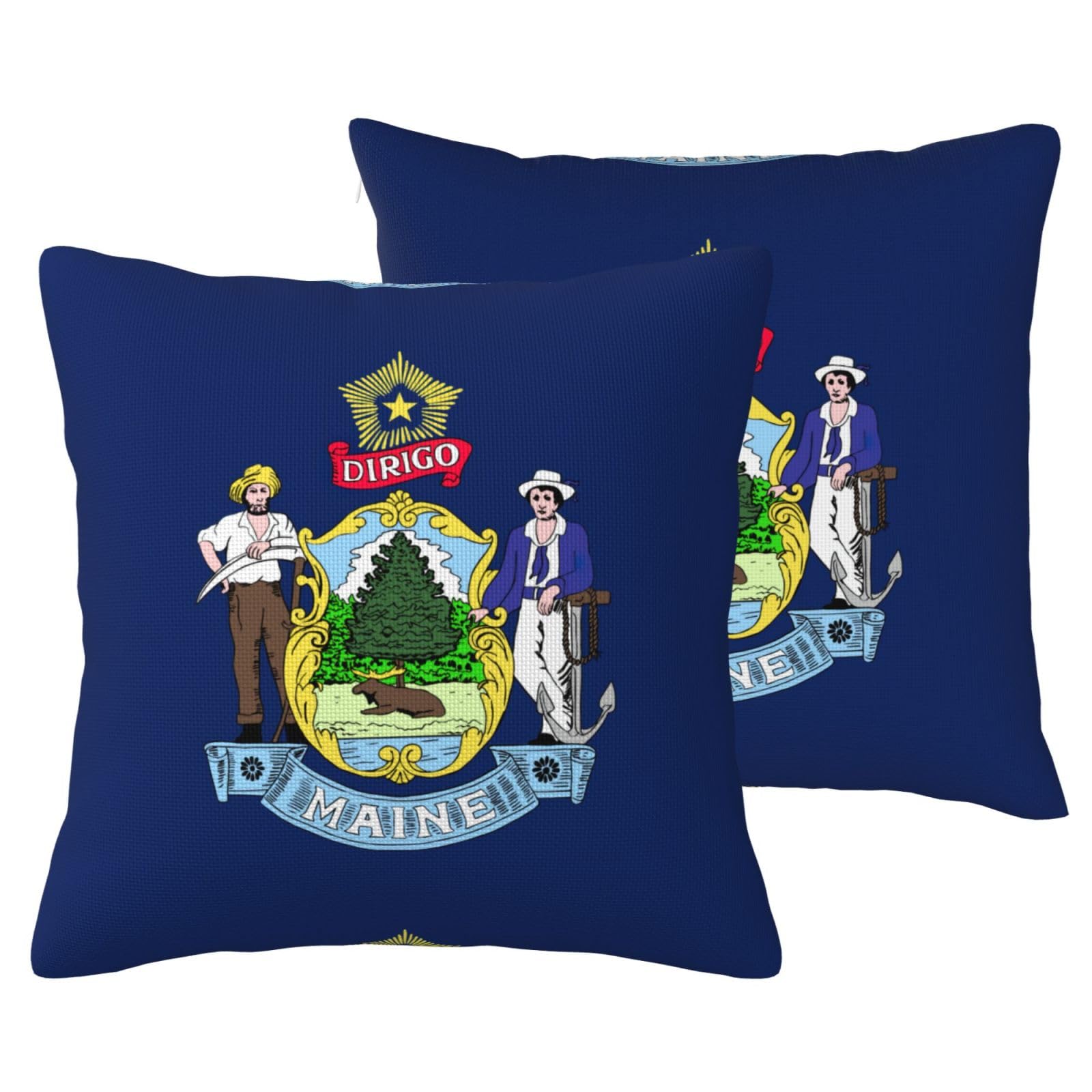 Housses de coussin en lin Maine : lot de 2 pour canapé et salon