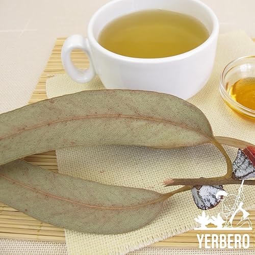Miniatura 8 de Yerbero - Té de hojas de eucalipto sueltas de primera calidad, 2 onzas (1.98 oz)  Hoja Eucalipto Te Herbal  Té calmante  Té cálido y delicioso