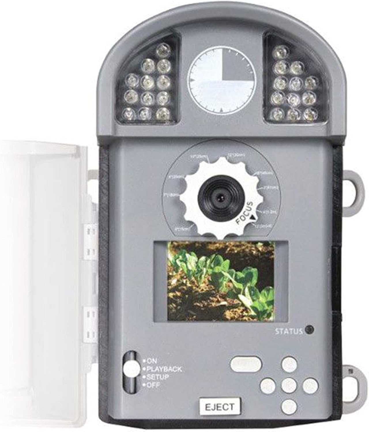 wingscapes birdcam