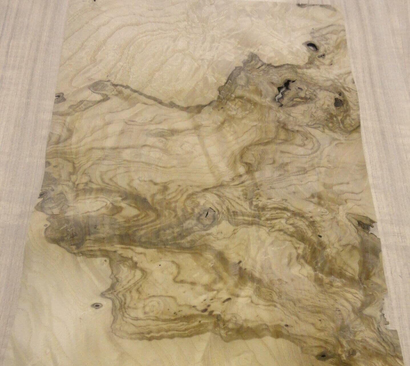 Olive Ash Burl Wood Veneer 7" x 10" raw with no Backing 1/42" Thickness AA