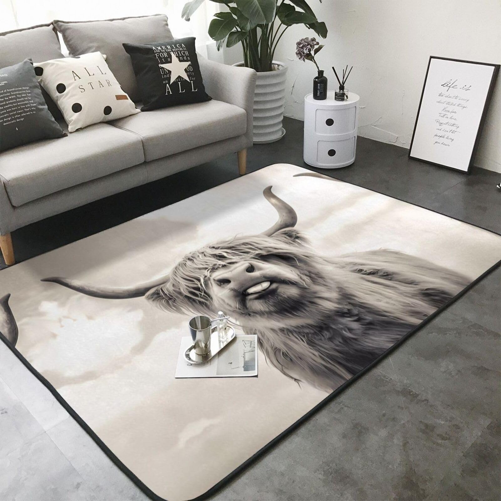 Tapis amusant en fausse fourrure avec imprimé vache des Highlands - 203,2 x 147,3 cm - Ultra absorbant, doux et confortable pour le salon, la chambre à coucher et plus encore