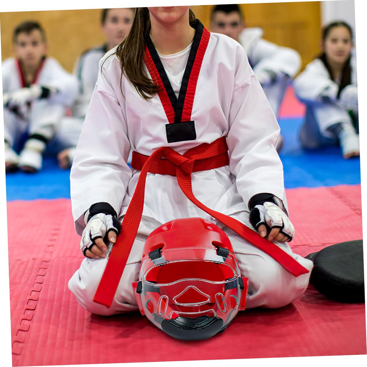 NOLITOY Maschera Protettiva Protezione Facciale Taekwondo 2 Pezzi per in Plastica Temprata, Portatile e Affidabile Rimovibile per Allenamento di Karate