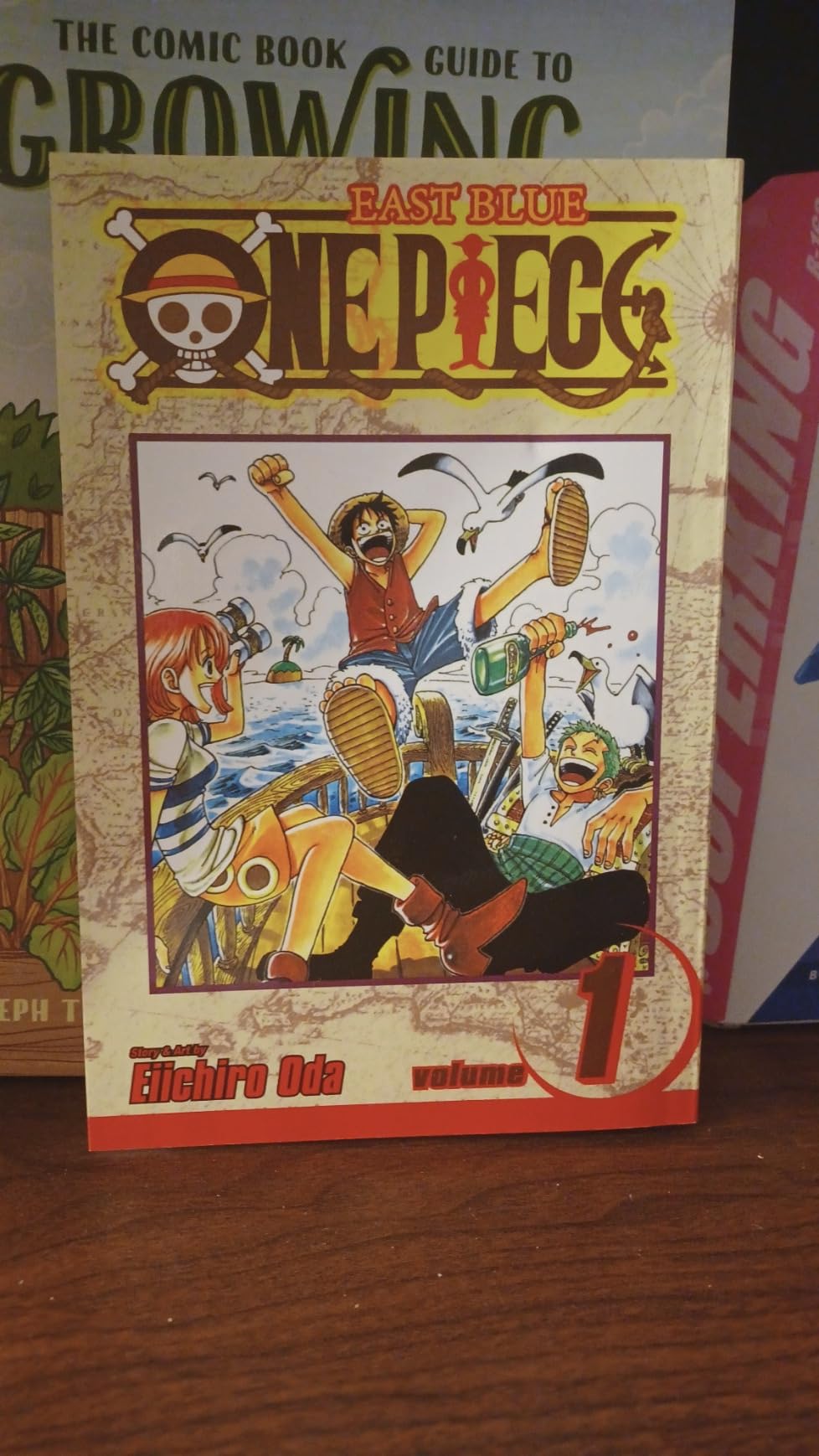 One Piece, Vol. 1: Romance Dawn Paperback June 1, Turkey | Ubuy