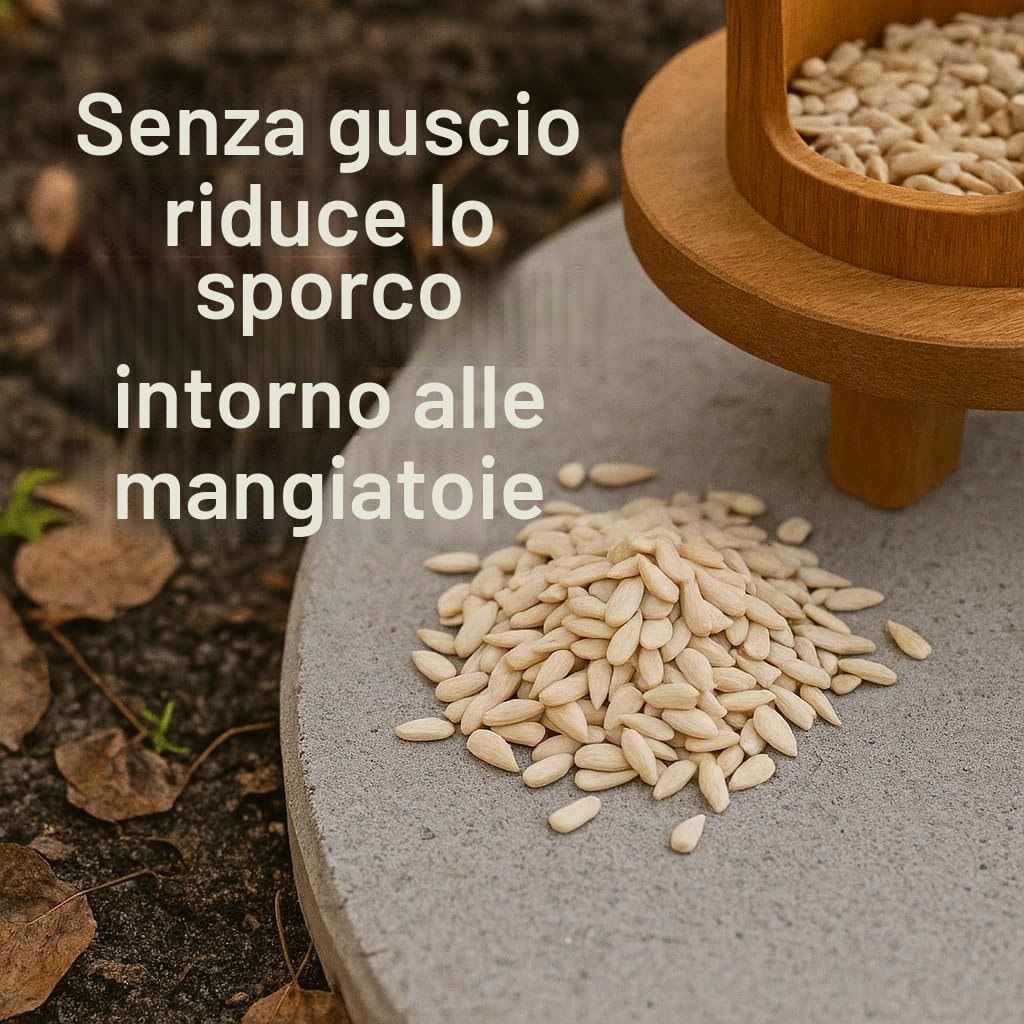 GiDeli Mangime per uccelli, semi di girasole, pelati, 30 kg, colore naturale, alimentazione per uccelli