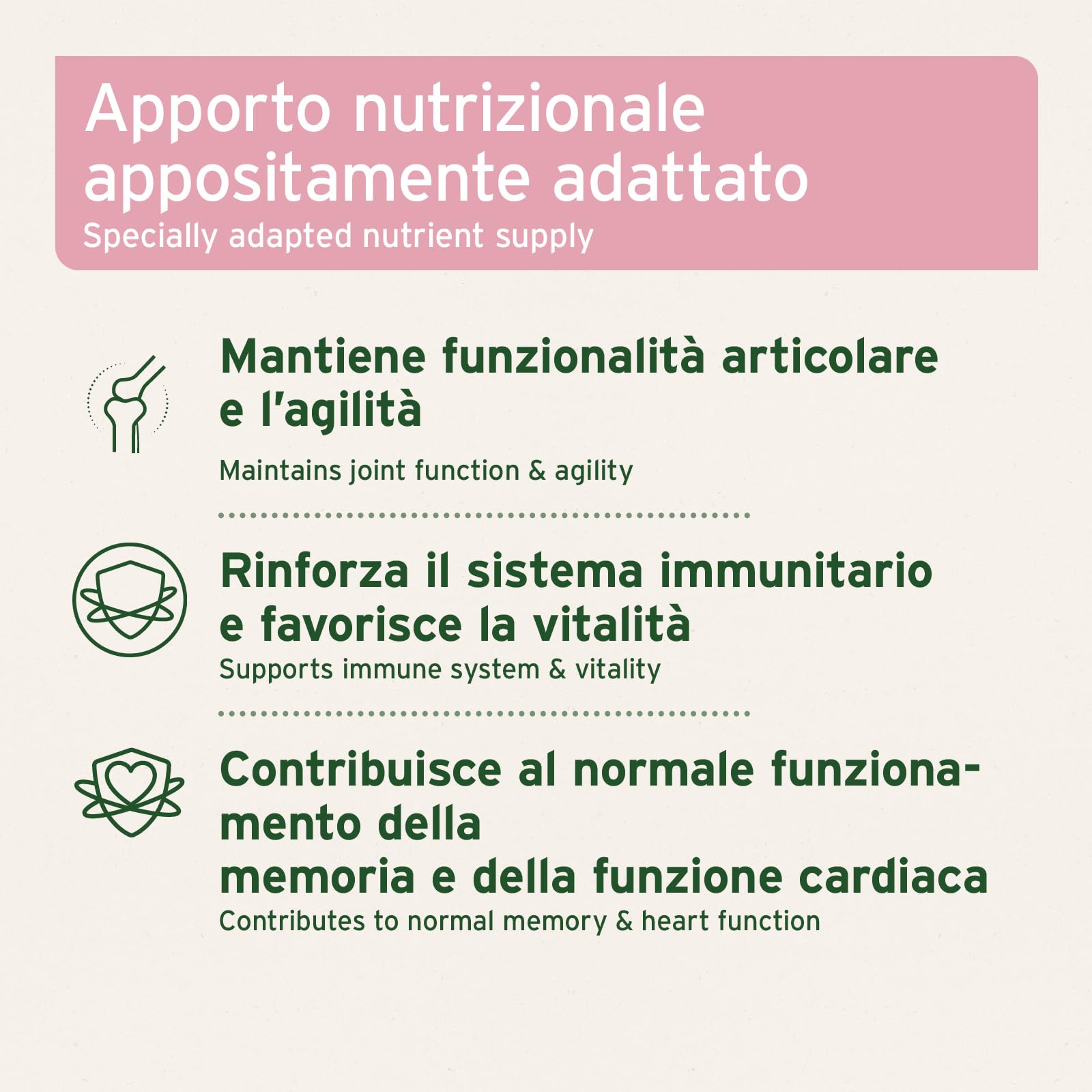 AniForte Senior Active Pulver 250 g für ältere Hunde - Mineralien, Aminosäuren & Vitamine für Hunde, unterstützt Gedächtnis- & Herzfunktion, Grünlippmuschel für Vitalität & Agilität, Senioren Futter