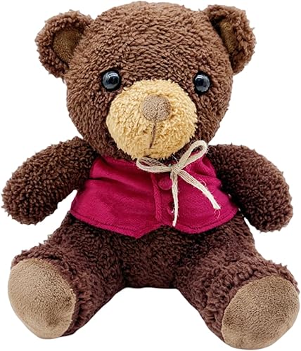 Buxomigrl Oso de peluche con diseño de oso de oso de peluche, regalo de cumpleaños, oso