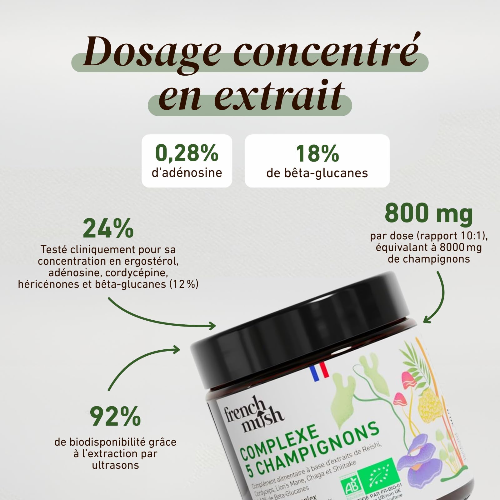 Complexe 5 Champignons Bio en Poudre Vegan - Lion's Mane, Reishi, Cordyceps, Shiitake, Chaga - Digestion, Bien-Être - 1 Gramme Par Jour - Testé en Laboratoire - Fabriqué en France