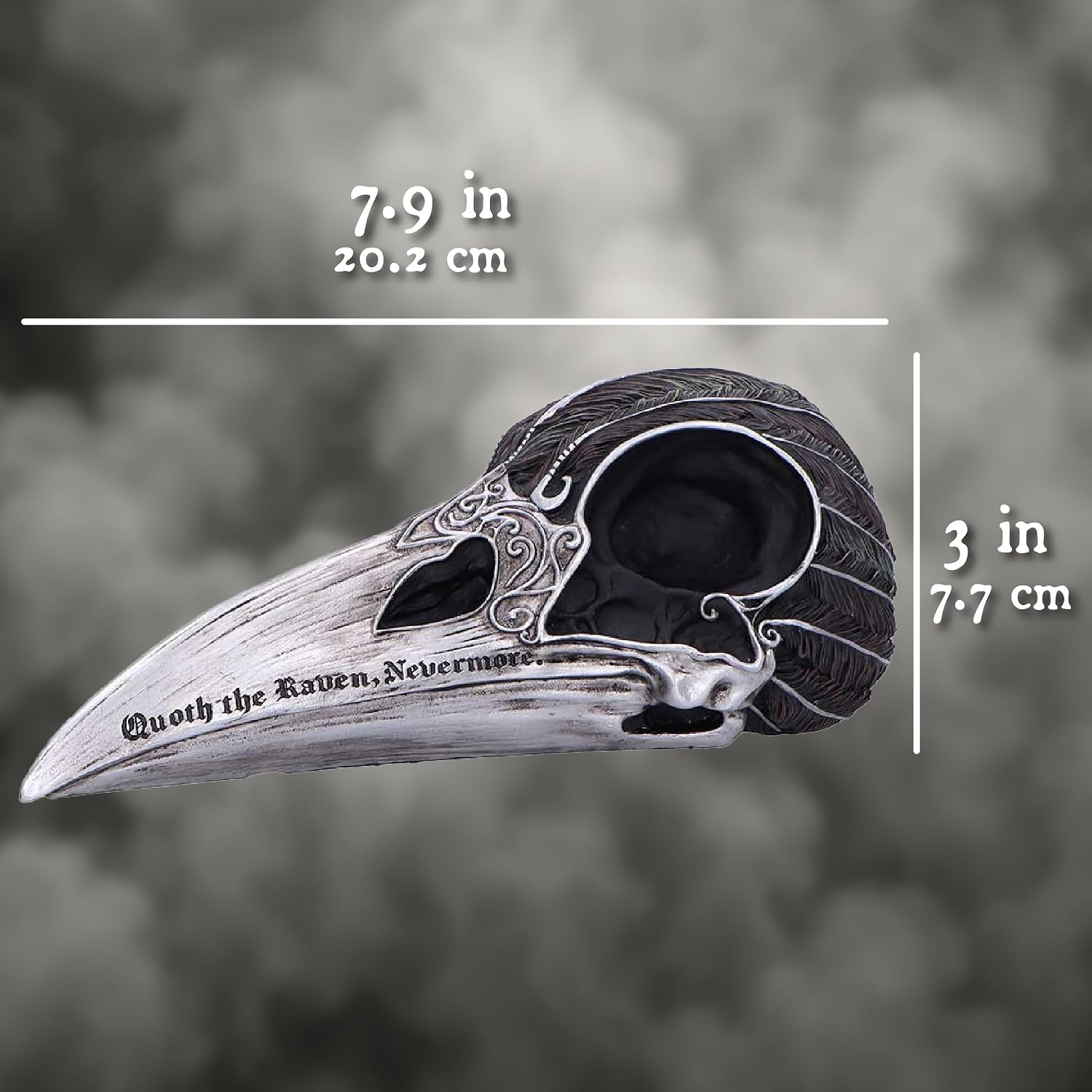 Nemesis Now Quoth The Raven Skull Ornament – Resin Raven Skull with Silver Beak, Hand-Painted Gothic Decor, Dark Literature-Inspired Figurine image 5