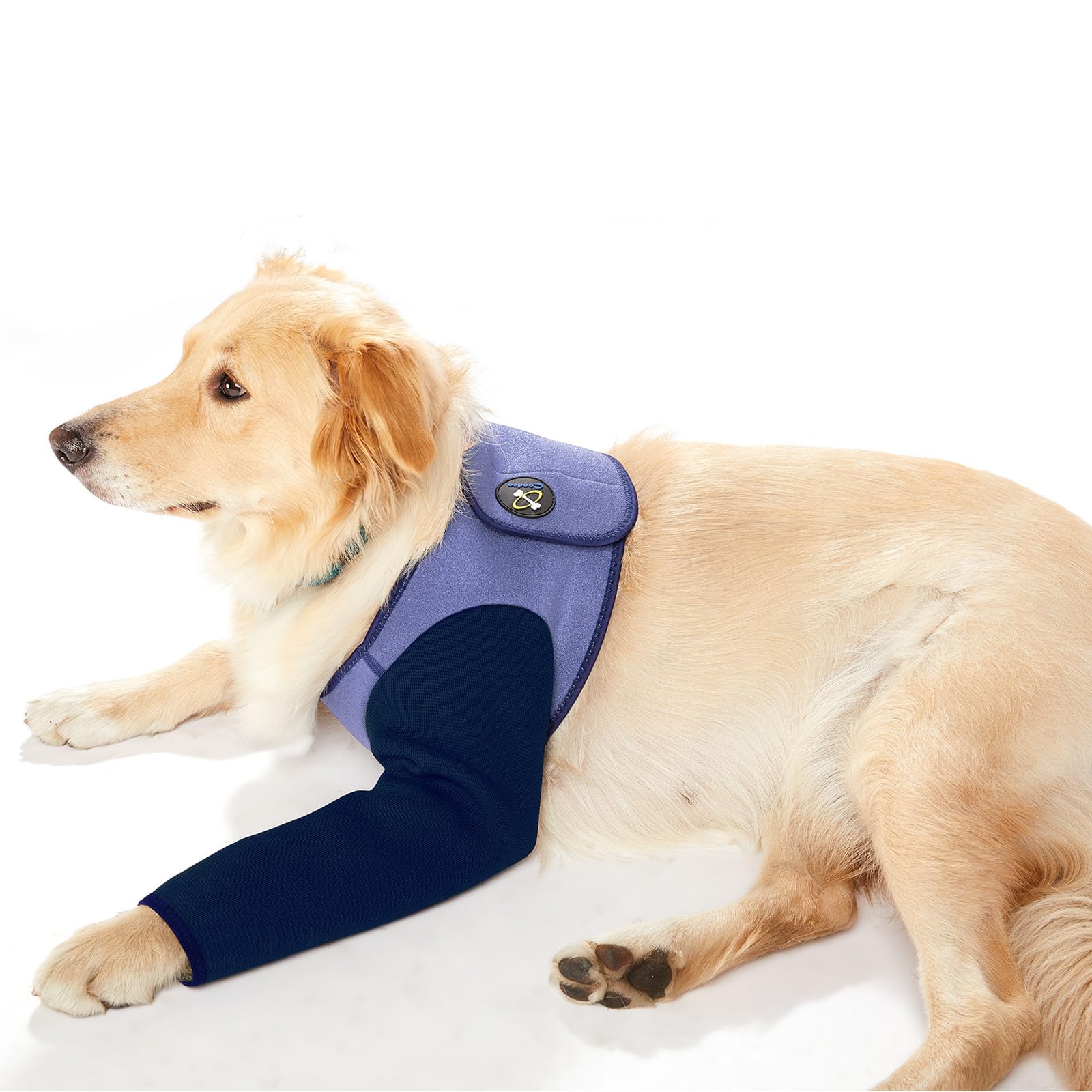 Coodeo Dog Recovery Suit, Cone Collar Alternative, Abrasion Resistant Dog Recovery Sleeve, Washable 2.5mm Thick and Waterproof, Pet Wounds Prevent Licking, Bite, Keep Dry（Purple，XL