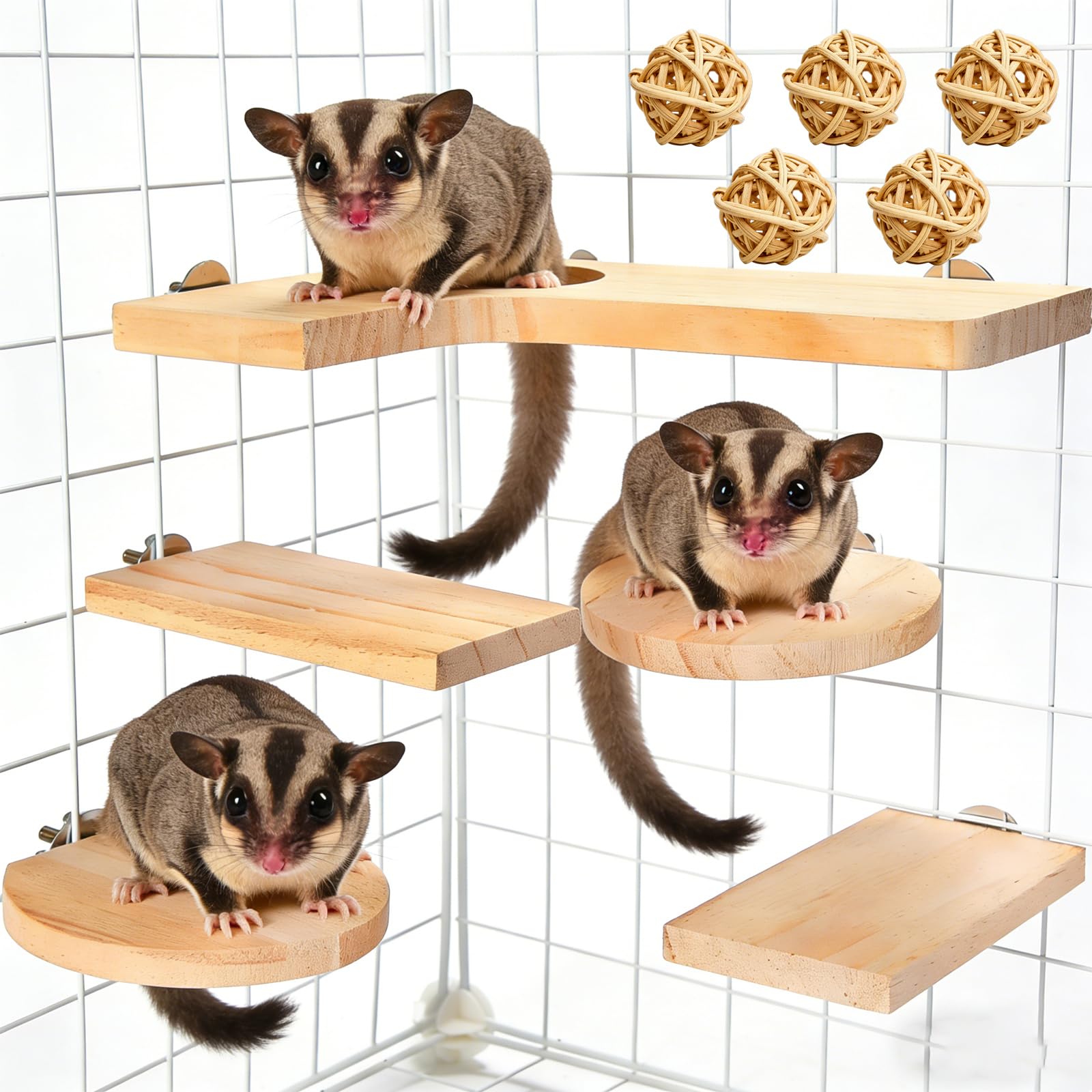 Lot de 10 accessoires pour hamster en bois, jouets pour hamster, plate-forme pour petits animaux, avec planche à sauter, surfaces rectangulaires rondes et 5 balles pour cochons d'Inde, chinchilla