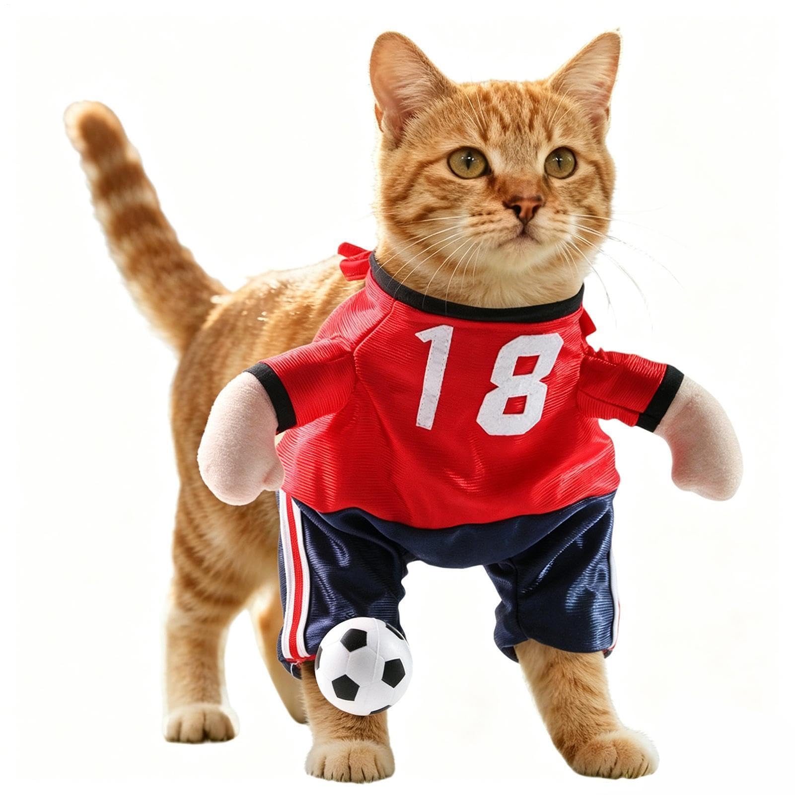 Vêtement football chien respirant et léger pour l'été