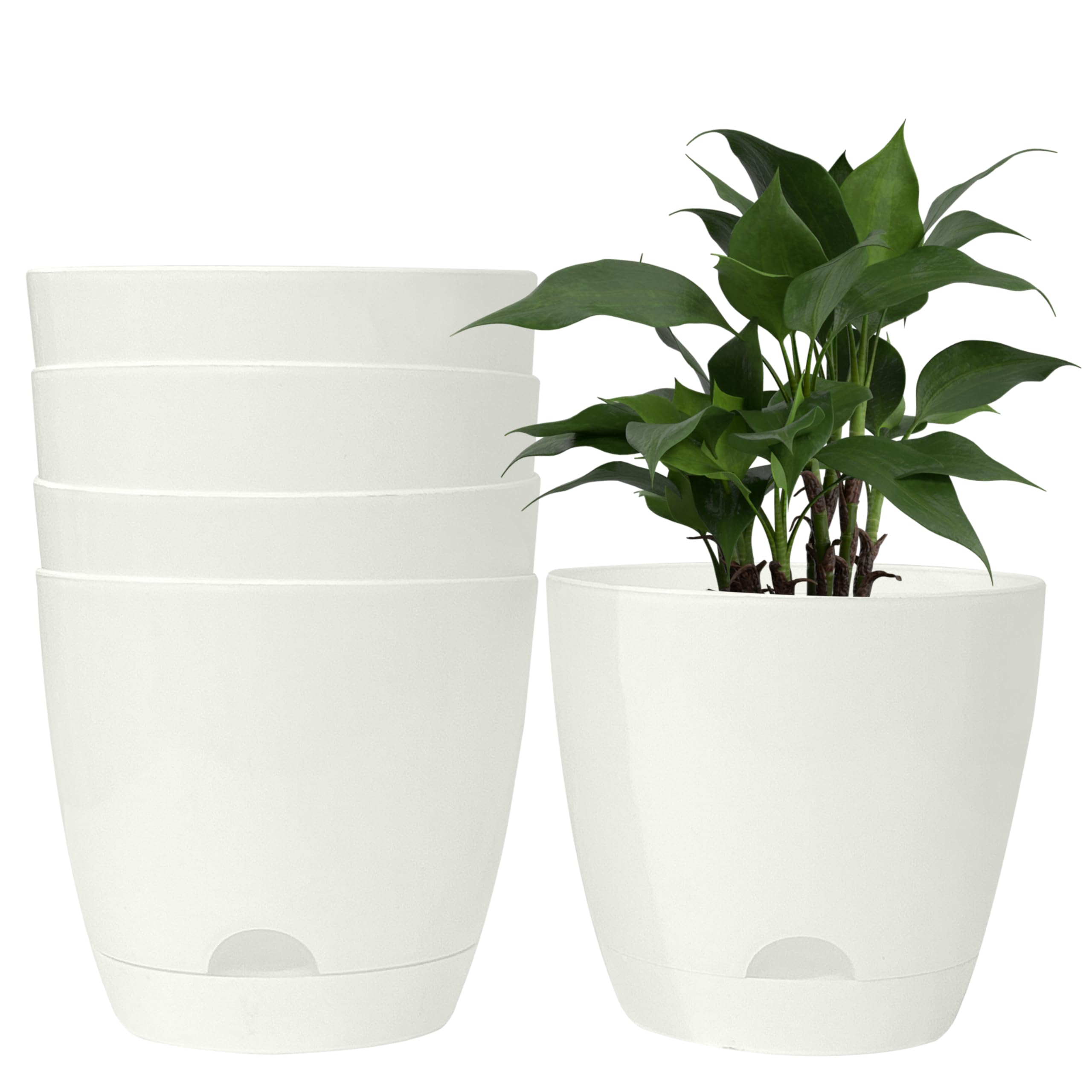 Agora 7" Self Watering Premium Virgin Plastic Big Pot for Home Garden Office Outdoor Balcony Modern Indoor Planter Pot Outer Color and Inner Black Flower Gamala Plant Pots - Pack of 5 (White, Large) (B0DD7THWL7) Amazon Price History, Amazon Price Tracker