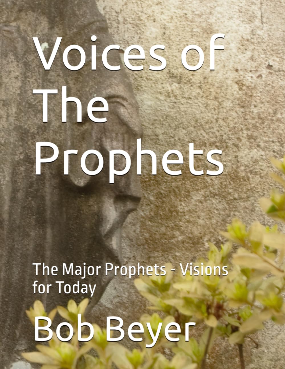 Voices of The Prophets: The Major Prophets - Visions for Today