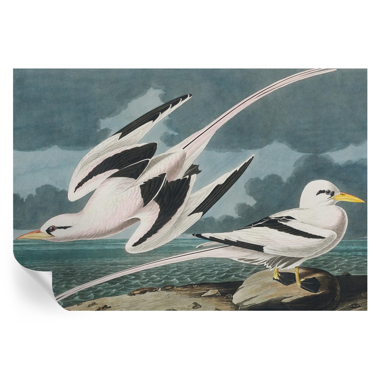 Mural autoadhesivo de pájaros junto al mar 152x104 cm para renovar tu salón