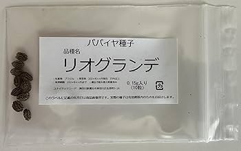 Amazon.co.jp: パパイヤ種子（タネ） 品種名リオグランデ 10粒入り