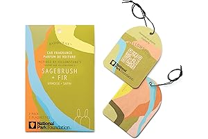 Paddywax National Parks Collection Hanging Car Air Freshener - Yellowstone (Sagebrush + Fir) 2-Pack